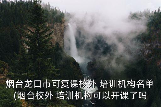 红舞鞋舞蹈培训