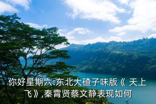 我们在天上飞上的父舞蹈