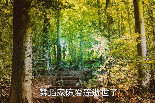 舞蹈人的一生