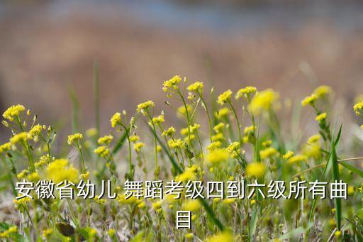 小孩二级舞蹈考试音乐,小孩学什么舞蹈考试可以加分?
