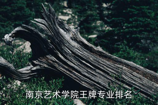舞蹈编导音乐