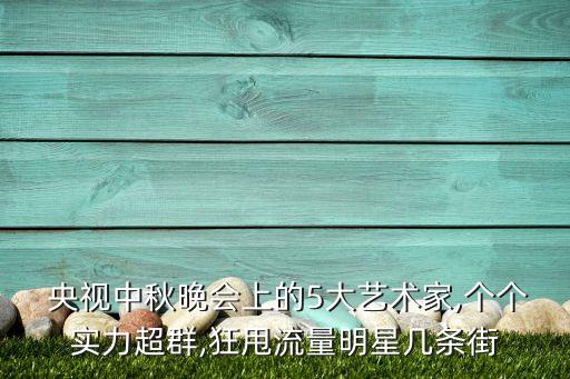 央视舞蹈大赛贵妃醉酒,舞蹈贵妃醉酒背面演
