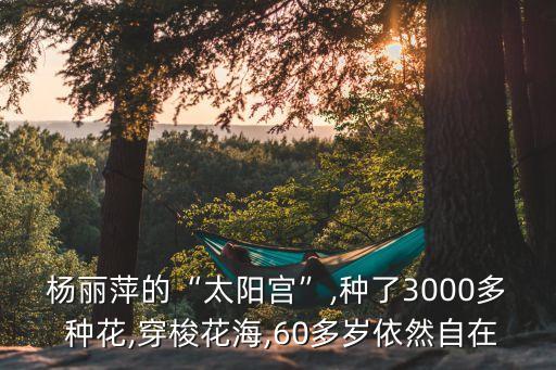 种花考级舞蹈,种花幼儿舞蹈视频