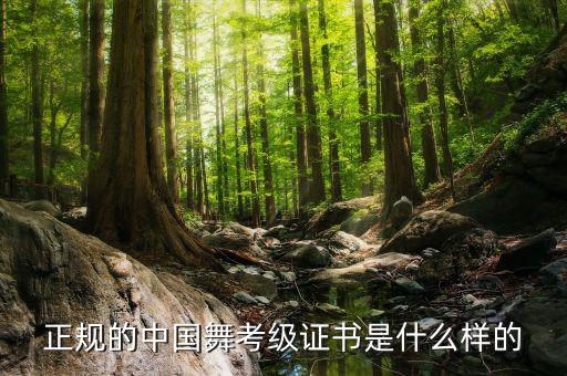 北京舞蹈学院古典舞图片