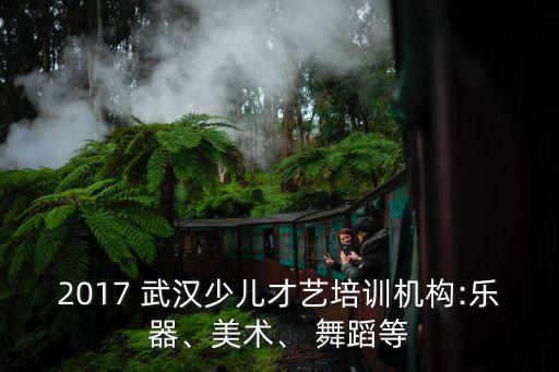 武汉那里招收儿童舞蹈,武汉儿童舞蹈培训机构哪个好