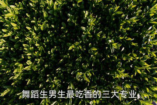 舞蹈系拉丁舞