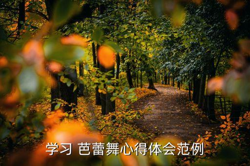 芭蕾舞蹈课上射精,大一芭蕾舞蹈课总结