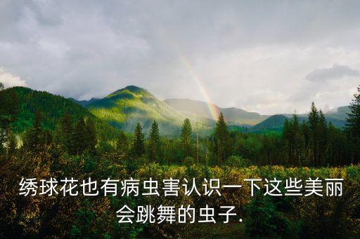 绣球女 舞蹈分解教学,壮乡太极绣球分解教学视频