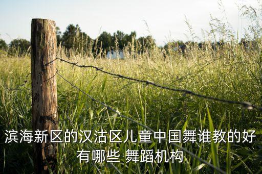 全国知名少儿舞蹈培训机构,南阳最好的少儿舞蹈培训机构