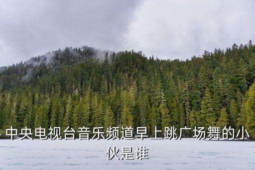 王广成歌曲配什么舞蹈视频