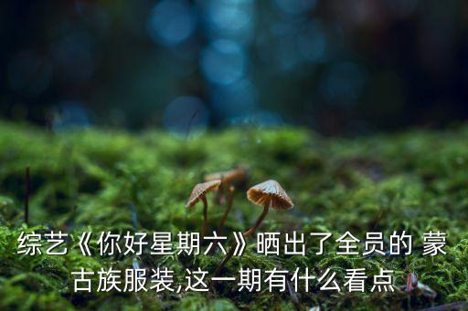 蒙古族舞蹈老师格格,格格是满族还是蒙古族