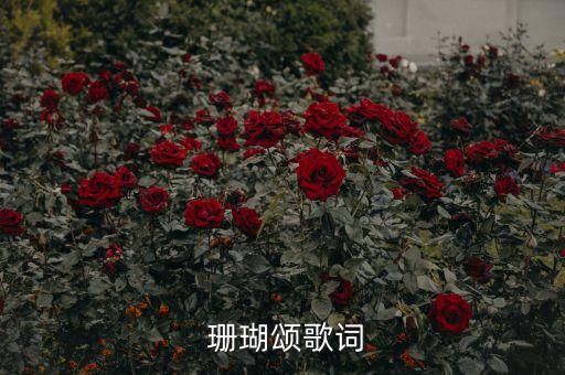 珊瑚颂歌曲带舞蹈,北京舞蹈学院珊瑚颂舞蹈视频