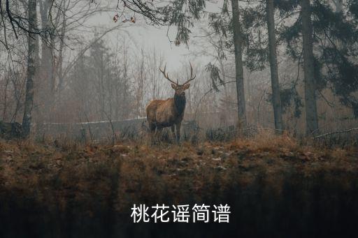 广场舞桃花谣舞蹈队形,伞舞七人队形舞桃花谣