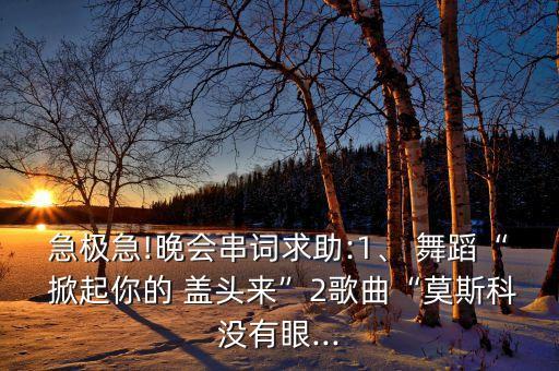 掀起你的盖头来舞蹈mp3
