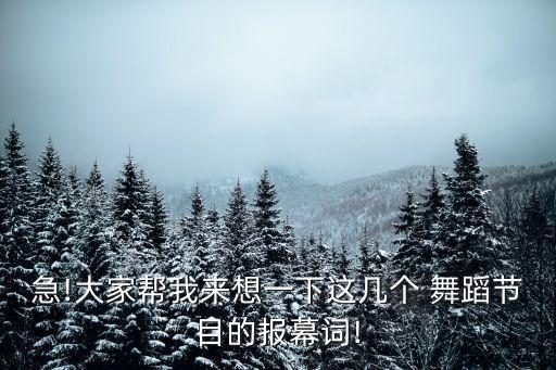 cctv舞蹈中国妈妈,中国妈妈舞蹈简介