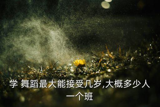 舞蹈班年龄差距,女孩子报舞蹈班的最佳年龄