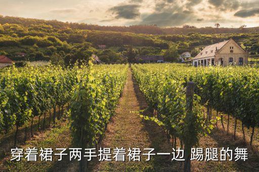 踢腿的叫什么舞蹈视频,小抬小踢腿七级舞蹈视频