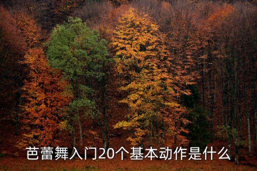 舞蹈模特基本动作视频,杰克逊和模特经典舞蹈视频