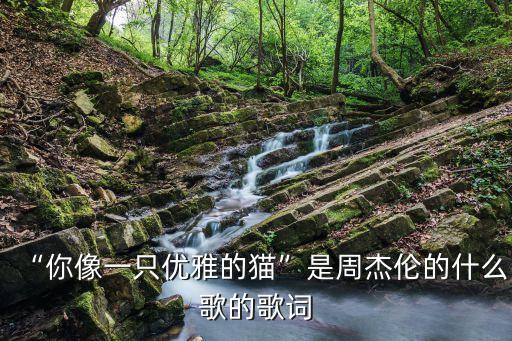 答对了你舞蹈