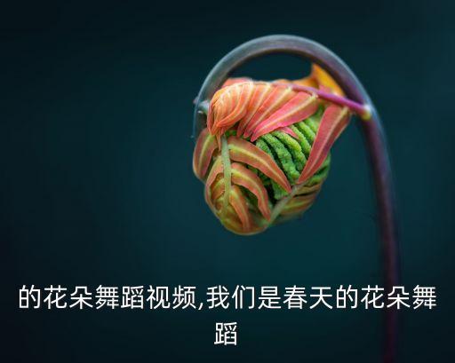 春天的花朵舞蹈视频,我们是春天的花朵舞蹈