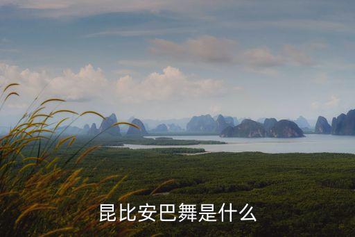 民族舞蹈教练,欢快的民族舞蹈一等奖