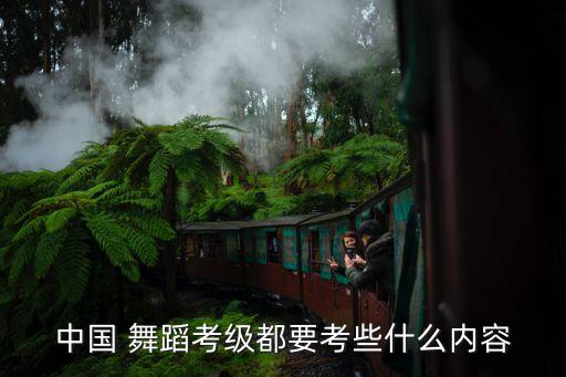 舞蹈考试包括哪些,舞蹈的表演形式包括哪些