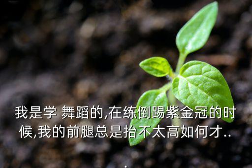 舞蹈中怎么进入踢腿起来