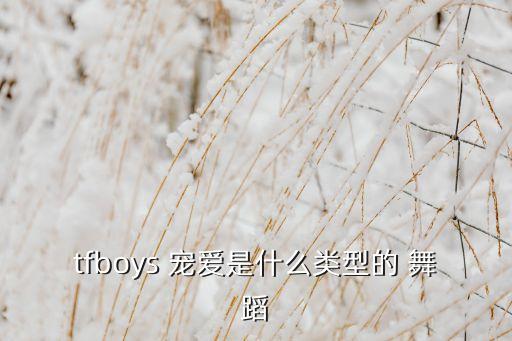 宠爱的舞蹈分解教学视频,宠爱舞蹈教学一步一步