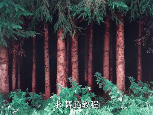 思慕舞蹈扇舞教学视频,大扇舞思慕口令分解教学