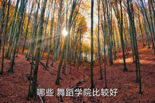 舞蹈示范学校,全国前十名的舞蹈学校