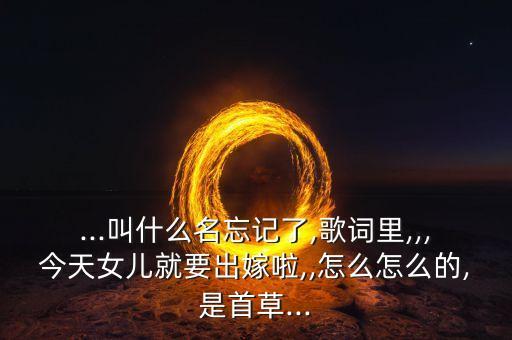 舞蹈漂亮的姑娘嫁人了,漂亮的姑娘就要嫁人啦DJ