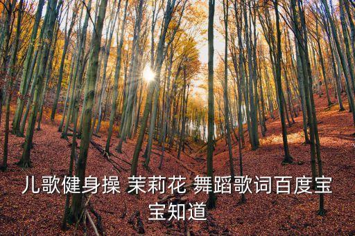 茉莉花舞蹈中老年