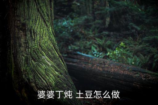 蒲公英 舞蹈双人舞土豆
