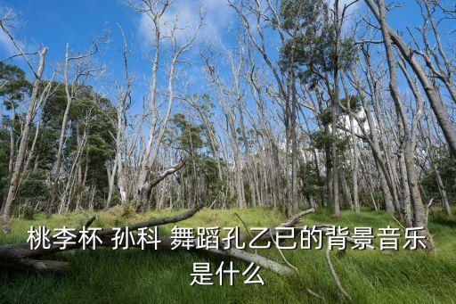 孙科老师舞蹈在水一方,舞蹈孙科老师介绍