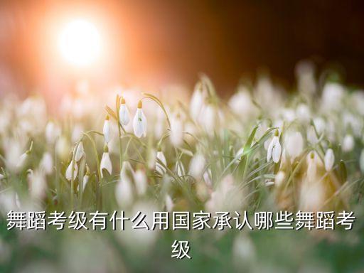 中国舞蹈家协会考级证取消