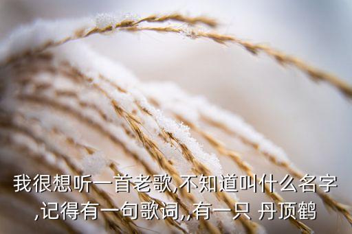 丹顶鹤的故事单人舞蹈,少儿舞蹈丹顶鹤的故事