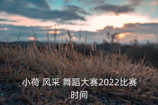 第十届小荷风采舞蹈