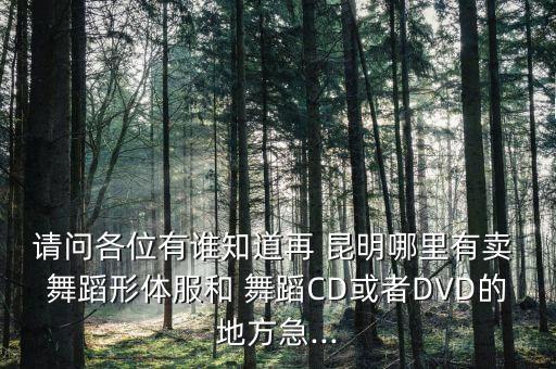 云南昆明舞蹈工作