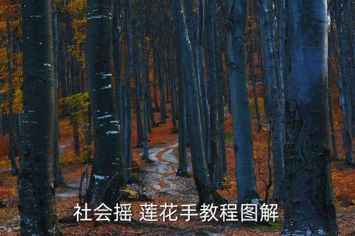 藏族舞蹈莲花