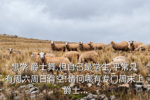 新桃园爵士舞蹈班,齐齐哈尔爵士舞蹈班