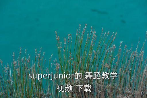 三年级加加油舞蹈视频下载,加油小宝贝舞蹈视频下载