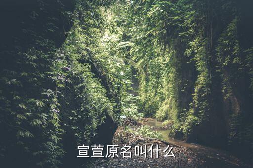 萱萱舞蹈小常识11,舞蹈小常识关于脚步知识
