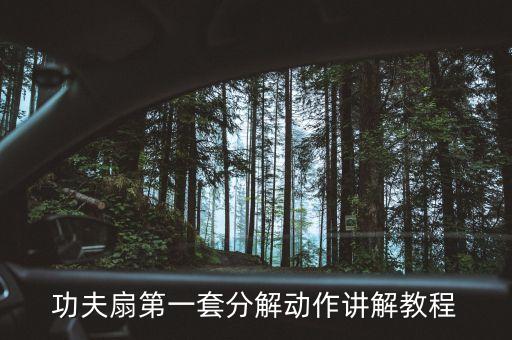 太极扇舞蹈视频,中国功夫太极扇舞蹈视频