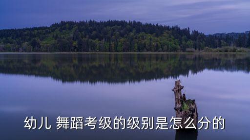 中国舞蹈三级abc