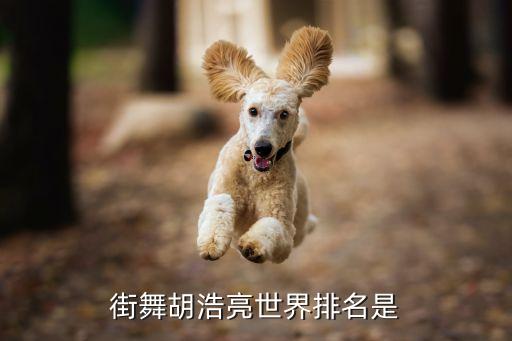 小鸡小鸡部队舞蹈