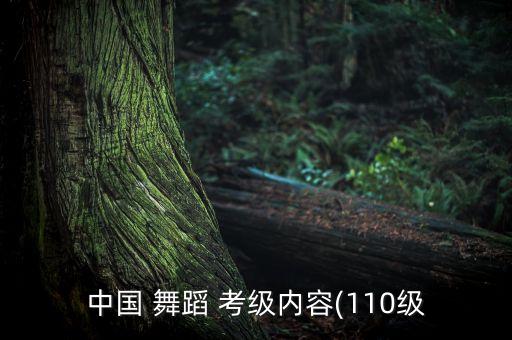 第三季的考级舞蹈,三只小猫考级舞蹈视频