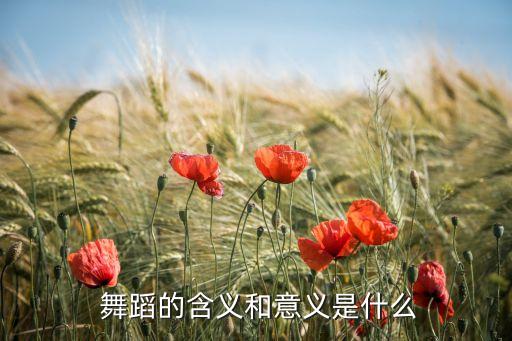 浅谈对舞蹈的认识,浅谈你对舞蹈教育的认识