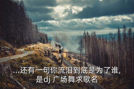 糖豆广场舞君君欢快的舞蹈