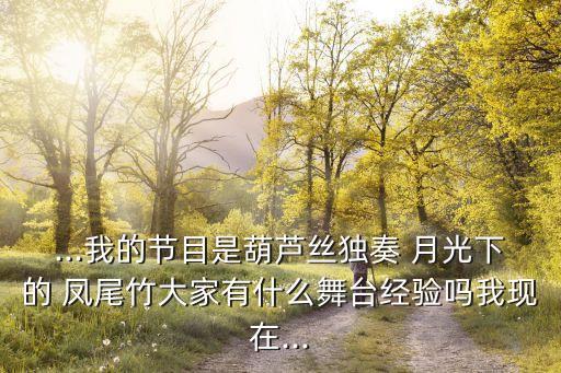 月光下凤尾竹舞蹈zuhe