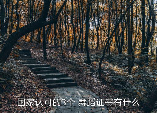 舞蹈班考级展演,孩子报舞蹈班考级有用吗